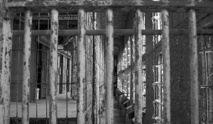 Al Capone Trial Reenacted in Miami Courtroom